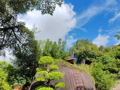 -南普陀寺