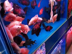 -三旗百汇商品城