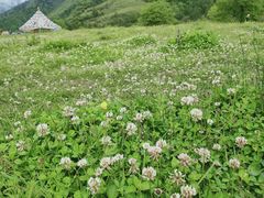 -硗碛藏寨·神木垒景区