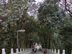 -老君山