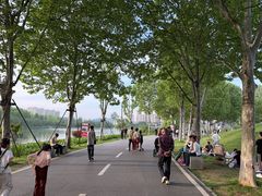 -洋湖国家湿地公园