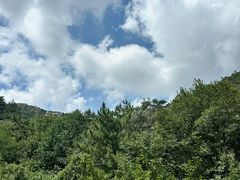 -大连金龙寺国家森林公园-售票处