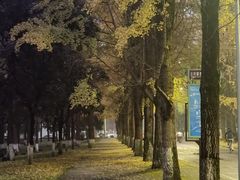 -四川大学(望江校区)
