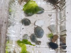 -石槽海滨浴场