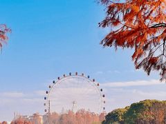 -上海野生动物园