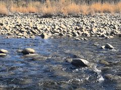 -九曲溪竹筏码头