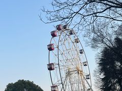 -成都娃娃花园餐厅 (南艺旗舰店)
