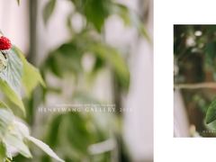 -INSDREAM FLOWER 鲜花预定·花艺培训