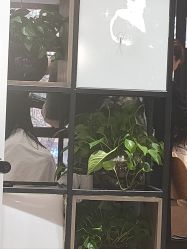 -東方名剪·ETSTYLE