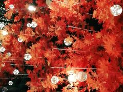 -令狐冲烤鱼·烧菜馆(达明店)