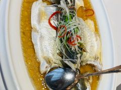 -老洋房花园饭店(绍兴路店)