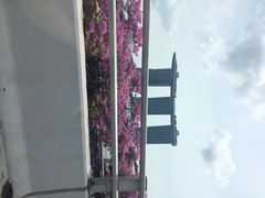 鱼尾狮公园-鱼尾狮公园