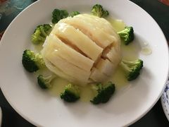 -丁老爷子苏香圆