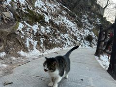 -终南山南五台景区