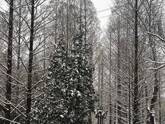 -白水寺森林公园