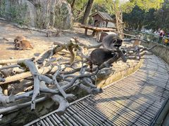 -宁波野生动物园