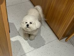 -MOI COFFEE(江山汇悦山府店)