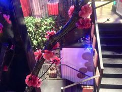 -味舵主不改良老火锅(杨舍老街店)