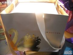 -BLACKSWAN黑天鹅(环球店)
