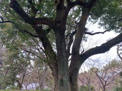 -热田神宫