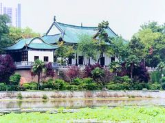 -月湖风景区
