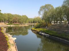 -大兴滨河森林公园