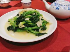 鸡毛菜百叶丝-老吉士酒家(天平路店)