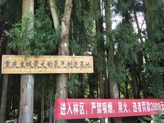-武陵山森林公园