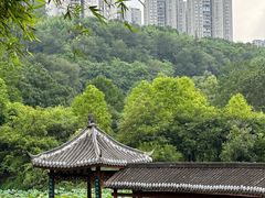 -龙头寺公园