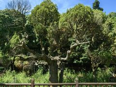 -草庵摩尼教遗址公园