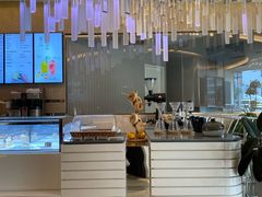 -Bracket Coffee(工体店)