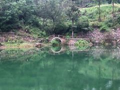 -齐王寨景区