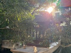 -复旦大学附属华山医院(总院)
