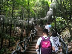 -石燕湖生态旅游景区