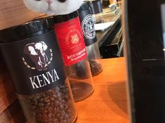 -星巴克臻选(北京前门大街店)