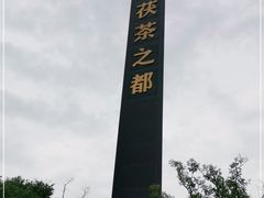 -茯茶镇