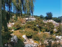 -北京西山国家森林公园