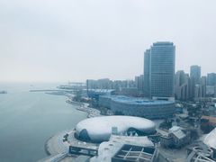 -琴岛之星摩天轮
