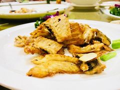 -寻味顺德·南记酒家·传统顺德菜·鱼生(广源路店)