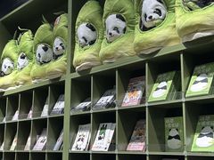 -武汉动物园