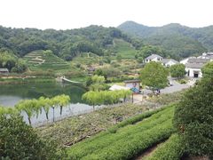 -天地生态农庄