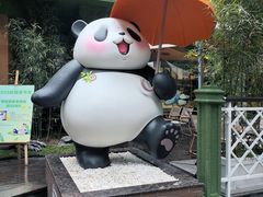-轩客会(熊猫书店)