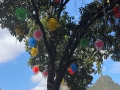 -大师傅金奖啤酒鱼(西街口总店)