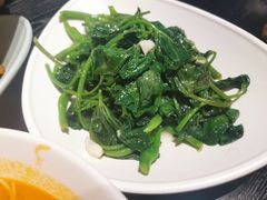 -Asianplus海蓝鸡饭