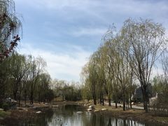 -武清南湖绿博园