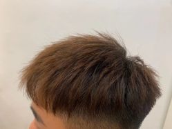 -YESIDO椰岛造型