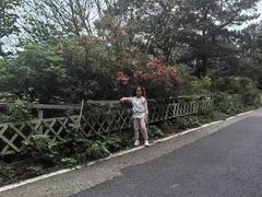 -木兰云雾山