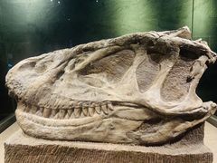 -自贡恐龙博物馆