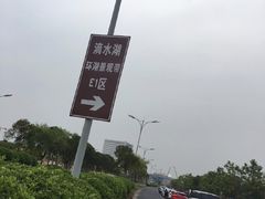 -上海鲜花港