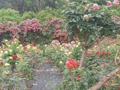 -黄陂区野村谷景区